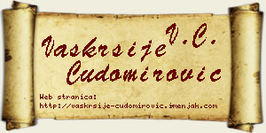 Vaskrsije Čudomirović vizit kartica